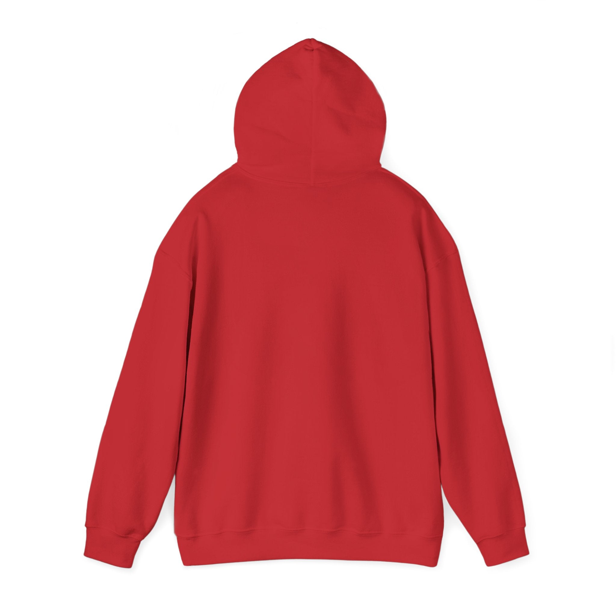 NONEED2KNO Hooded Sweatshirt