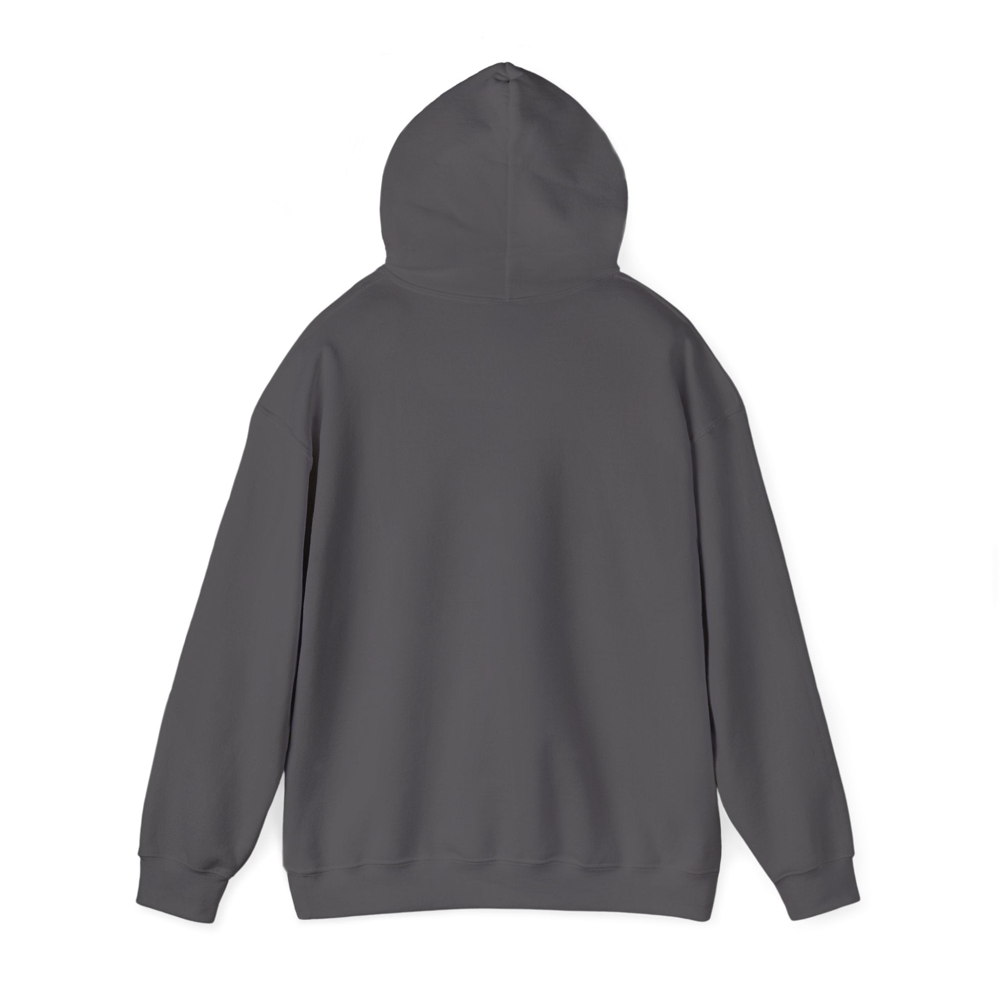 NONEED2KNO Hooded Sweatshirt