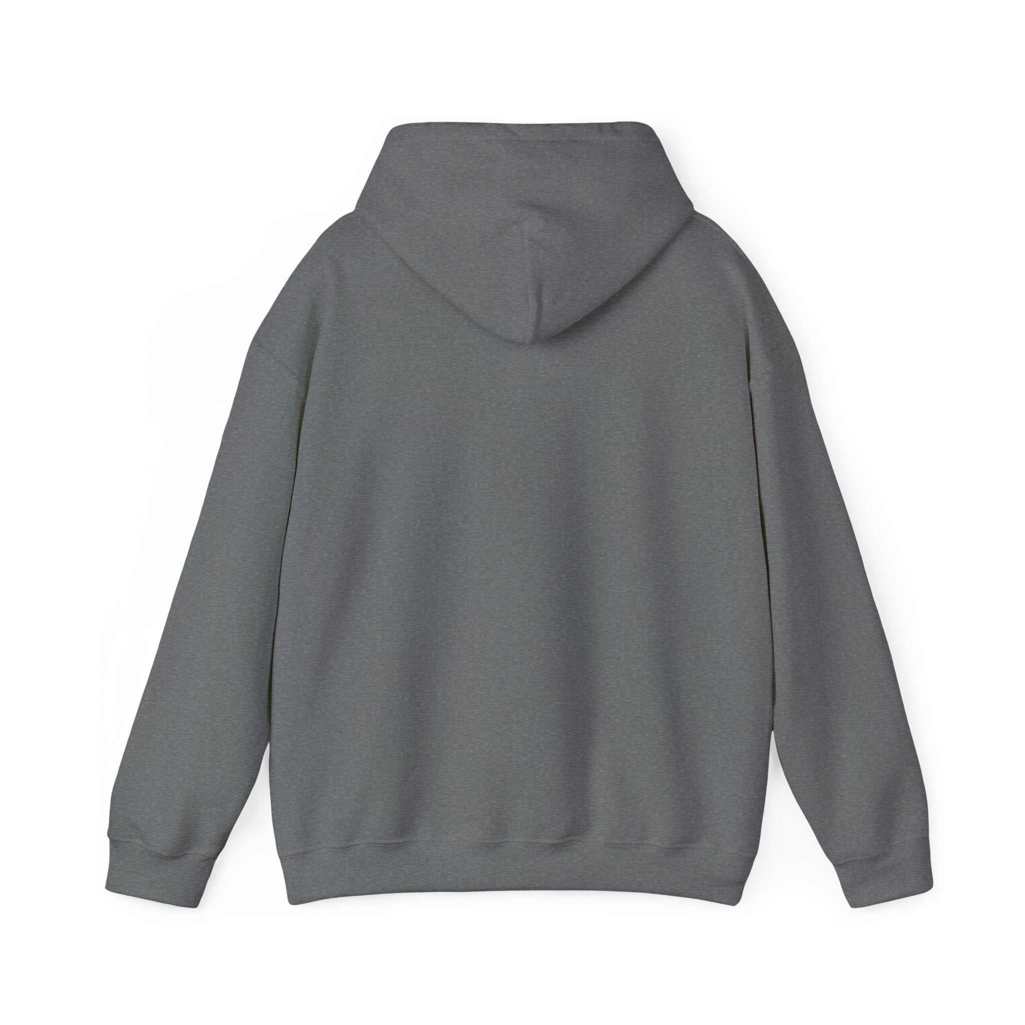 NONEED2KNO Hooded Sweatshirt
