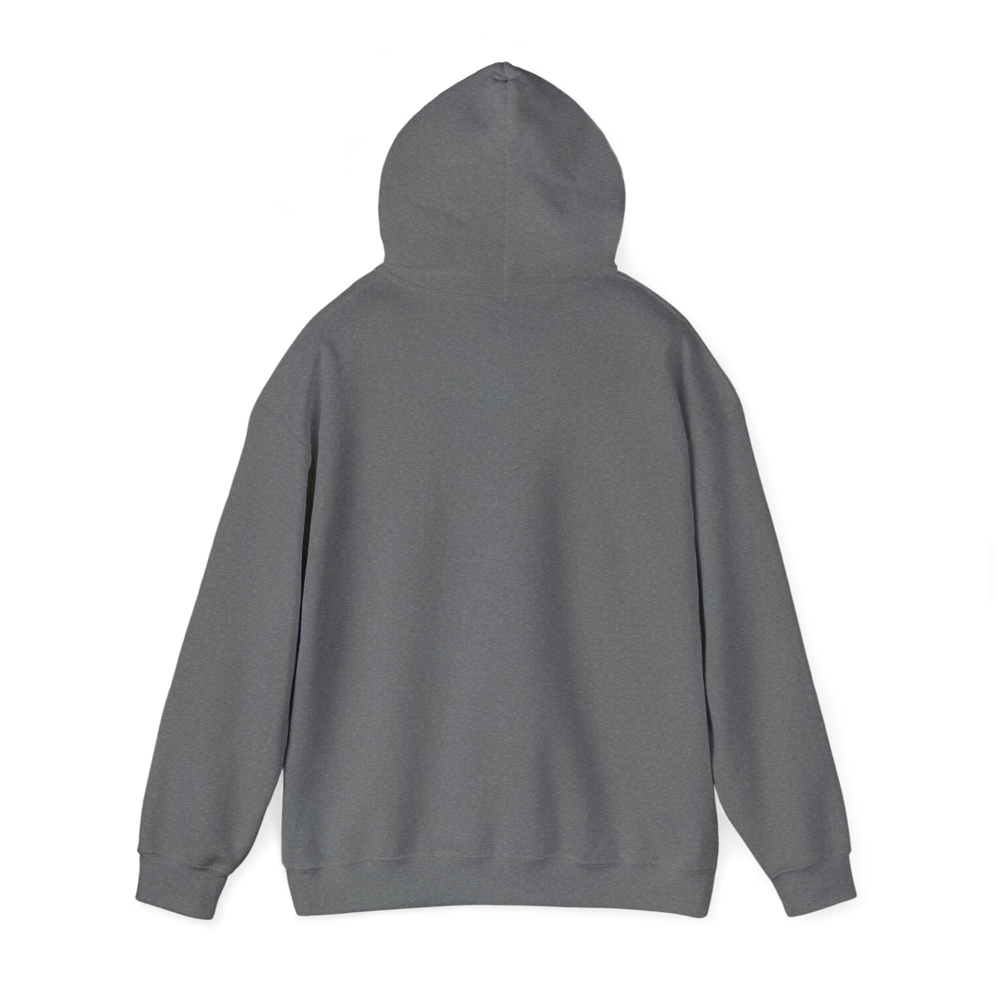 NONEED2KNO Hooded Sweatshirt