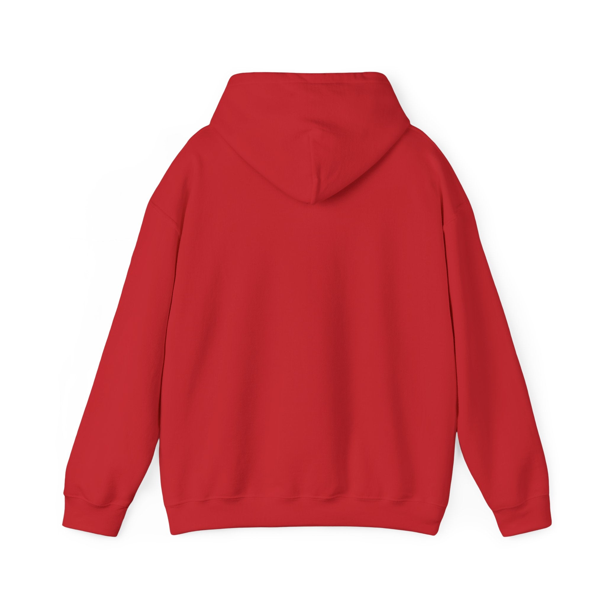 NONEED2KNO Hooded Sweatshirt