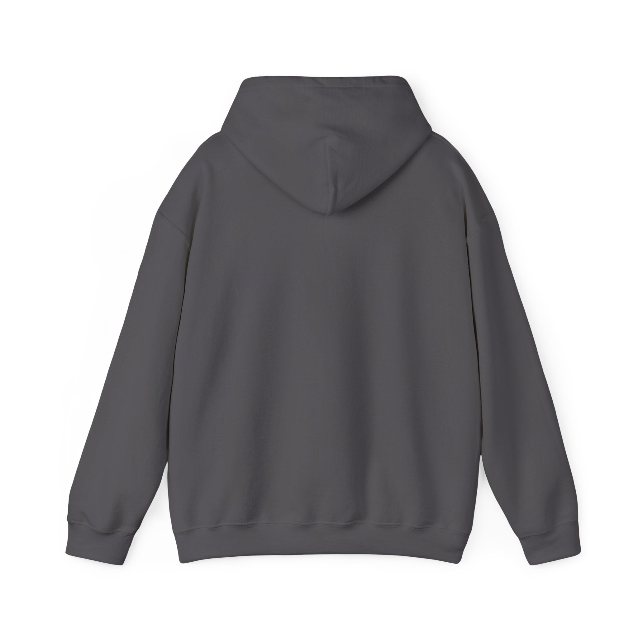 NONEED2KNO Hooded Sweatshirt